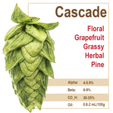 Cascade Hops